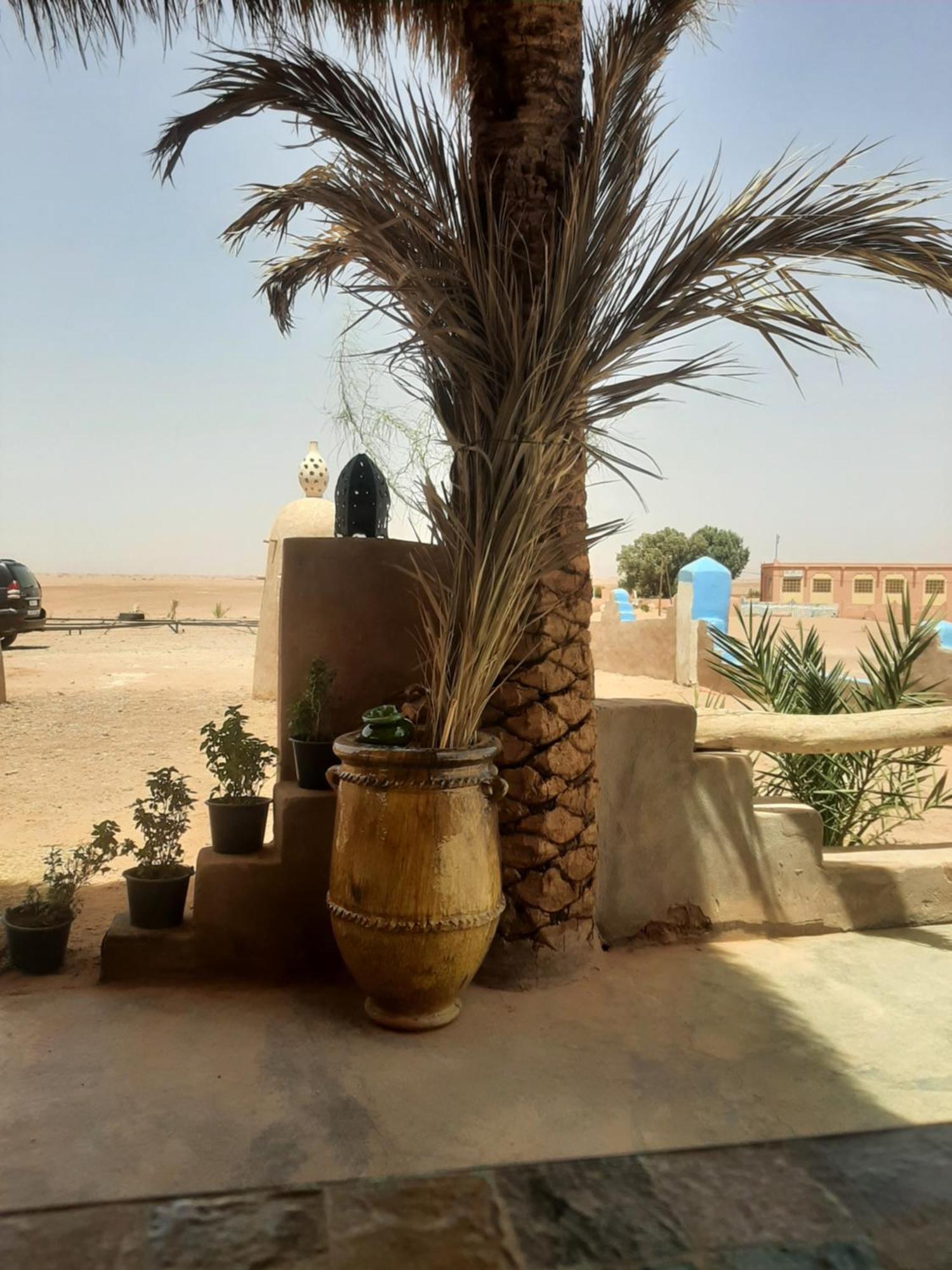Auberge Kasbah Dar Sahara Tours M'Hamid Exterior foto